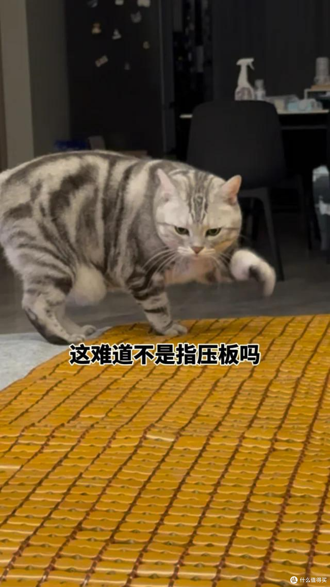 “麻将凉席”别再扔掉了,学学网友们的“神改造”,那叫一个绝~