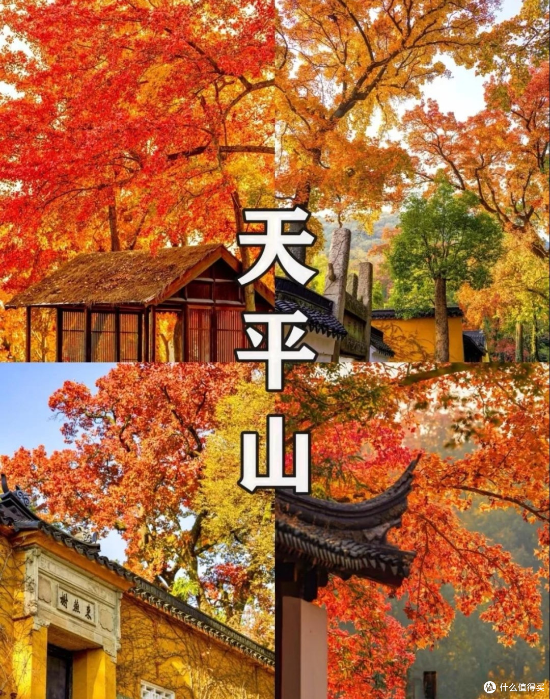 秋日赏景清单：这6种限定浪漫，错过等一年！