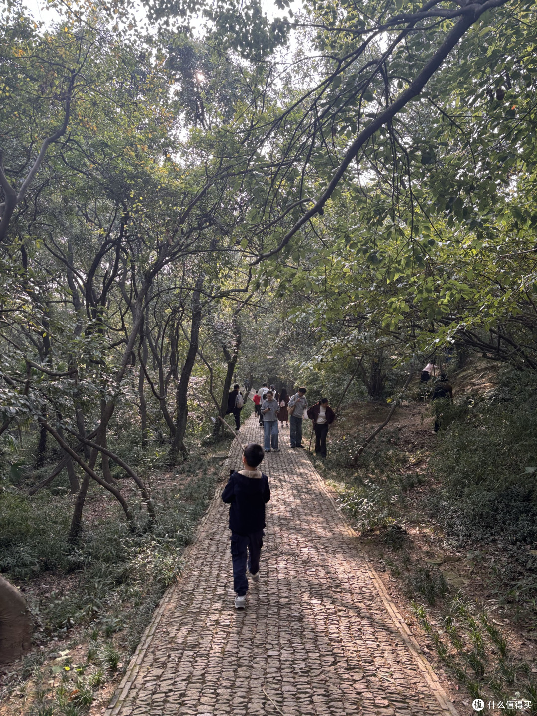 石湖畔的千年漫步:解锁上方山的生态与文脉