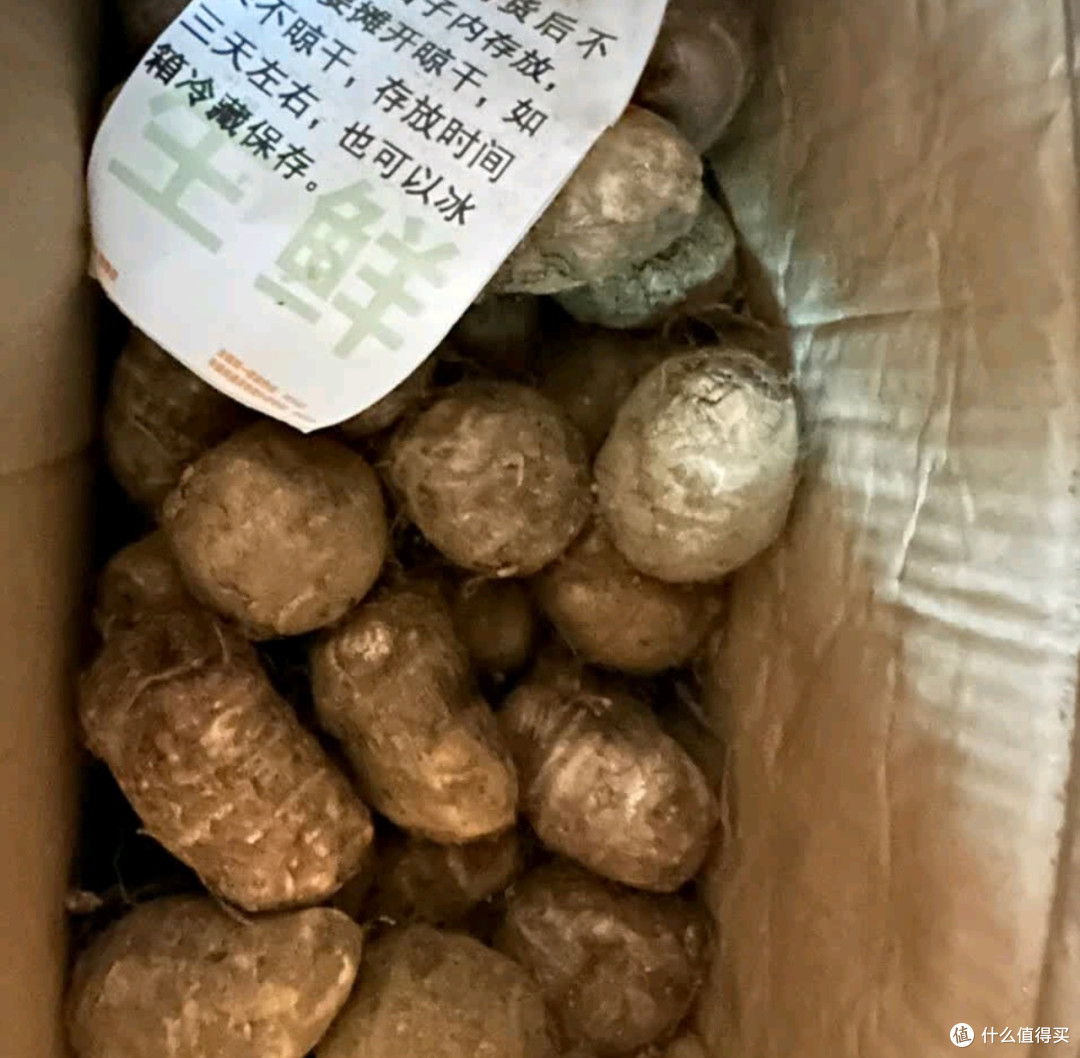 京东自营牛奶小芋头新鲜实惠