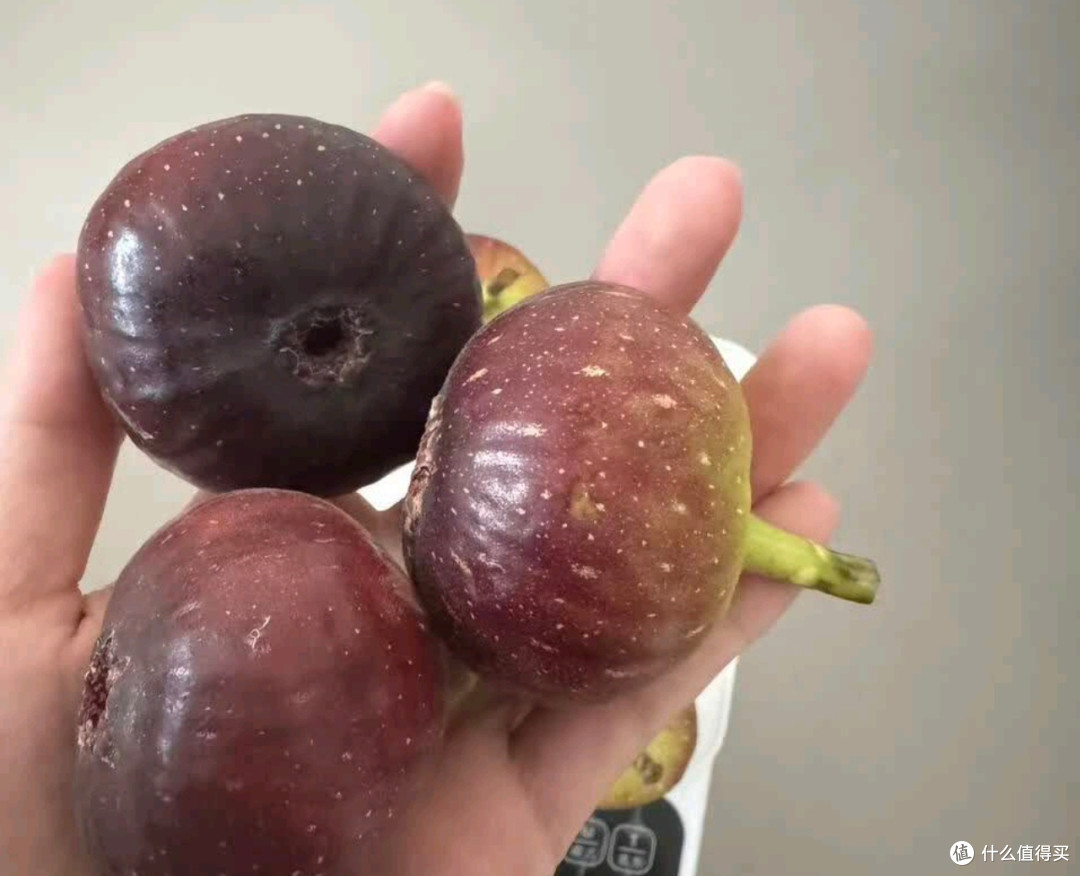 网购无花果,全家甜蜜惊喜