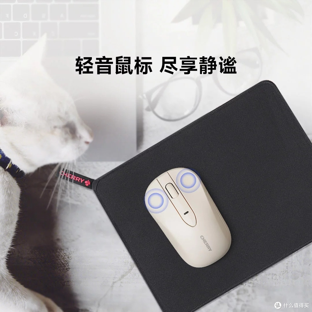 CHERRY DW2300键鼠套装深度评测