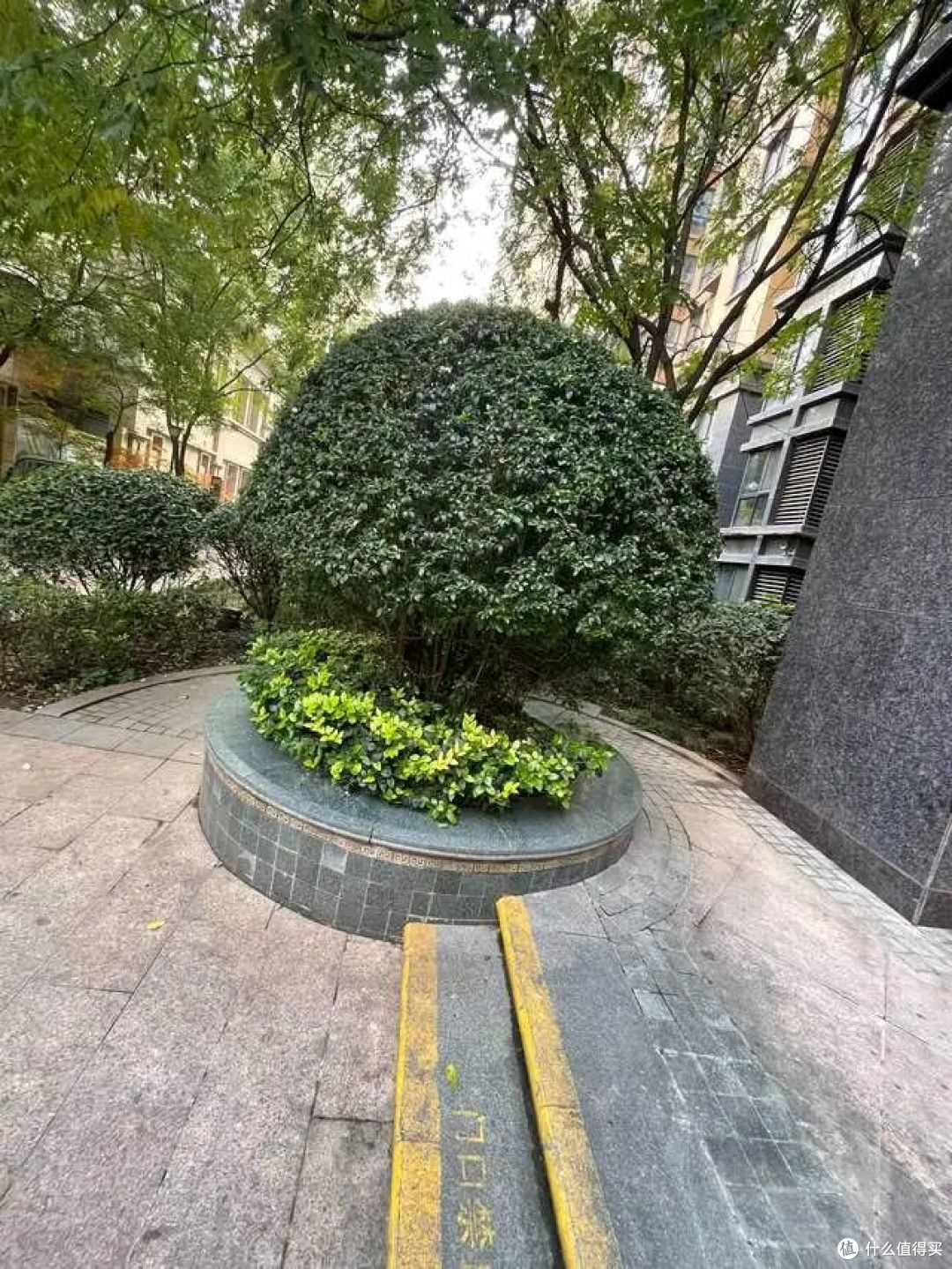代入郑智化视角去上了个班,我终于知道:八千万残障人士去哪了?