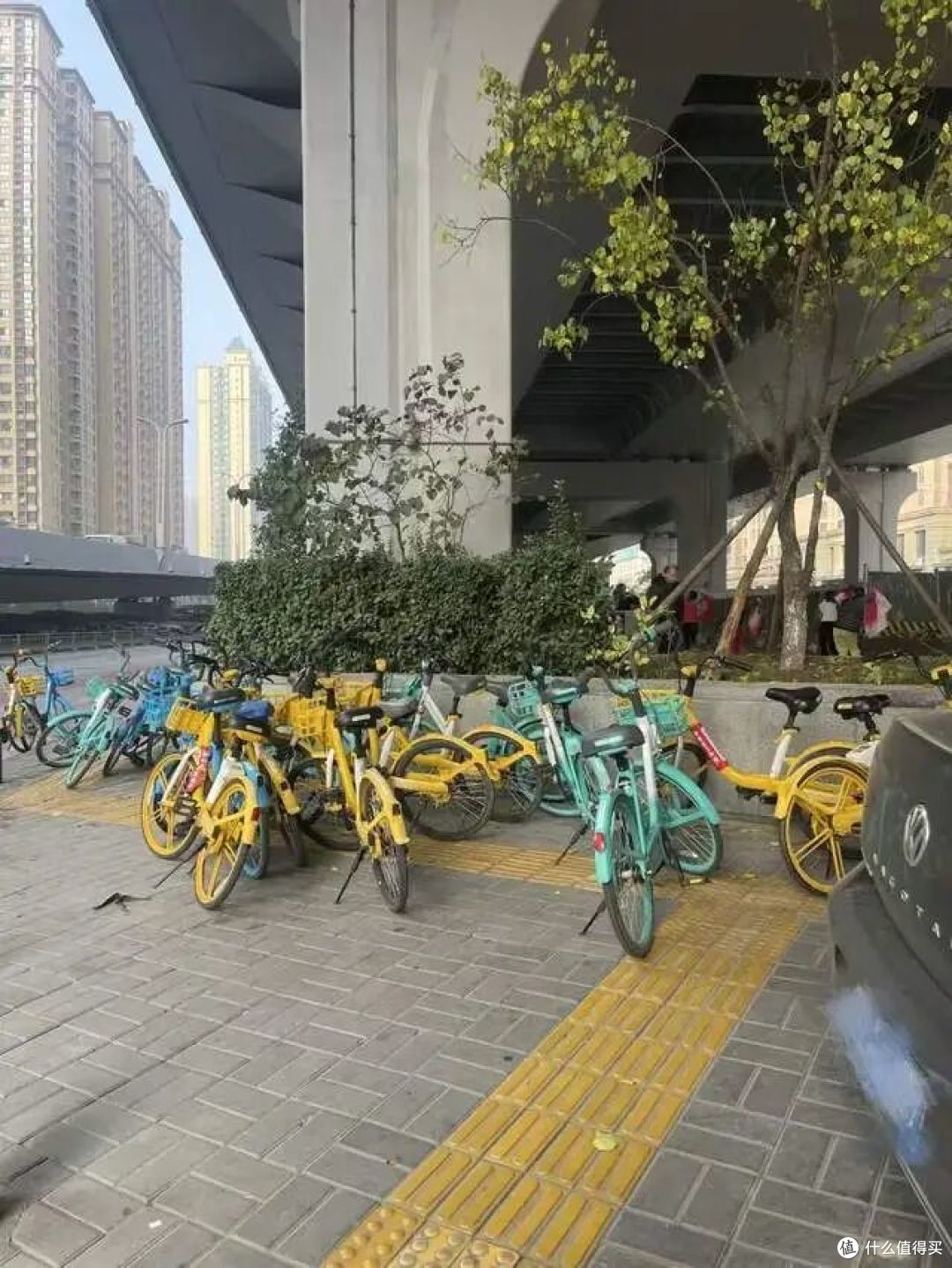 代入郑智化视角去上了个班,我终于知道:八千万残障人士去哪了?