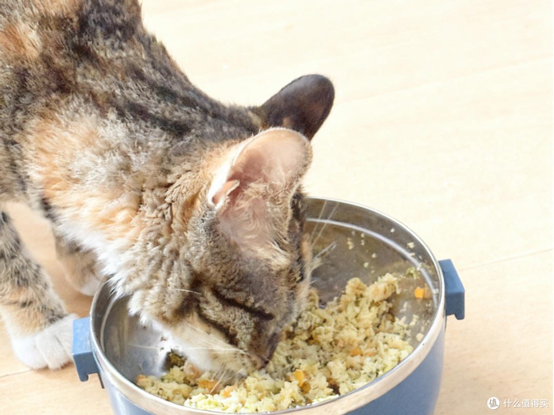 宠物多功能料理机宠物料理机哪个牌子好用?自制猫饭料理机推荐