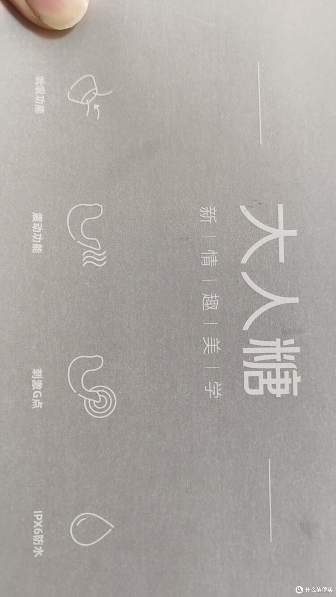 大人糖小海豹:萌趣疗愈好物