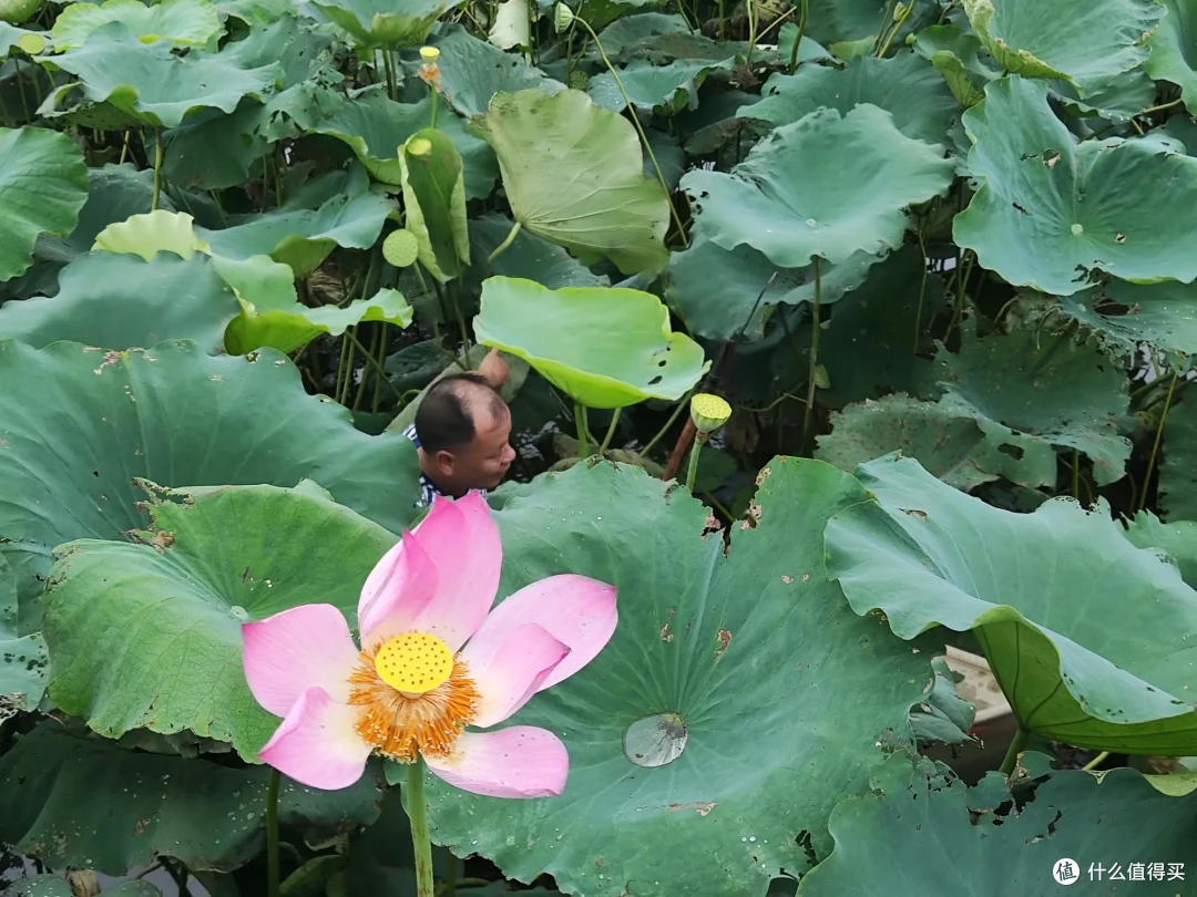 十一闲游湖南岳阳