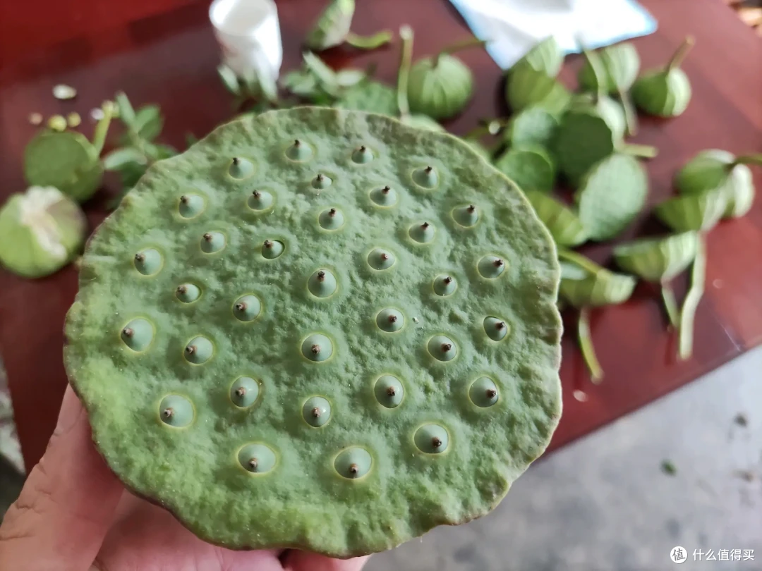 十一闲游湖南岳阳