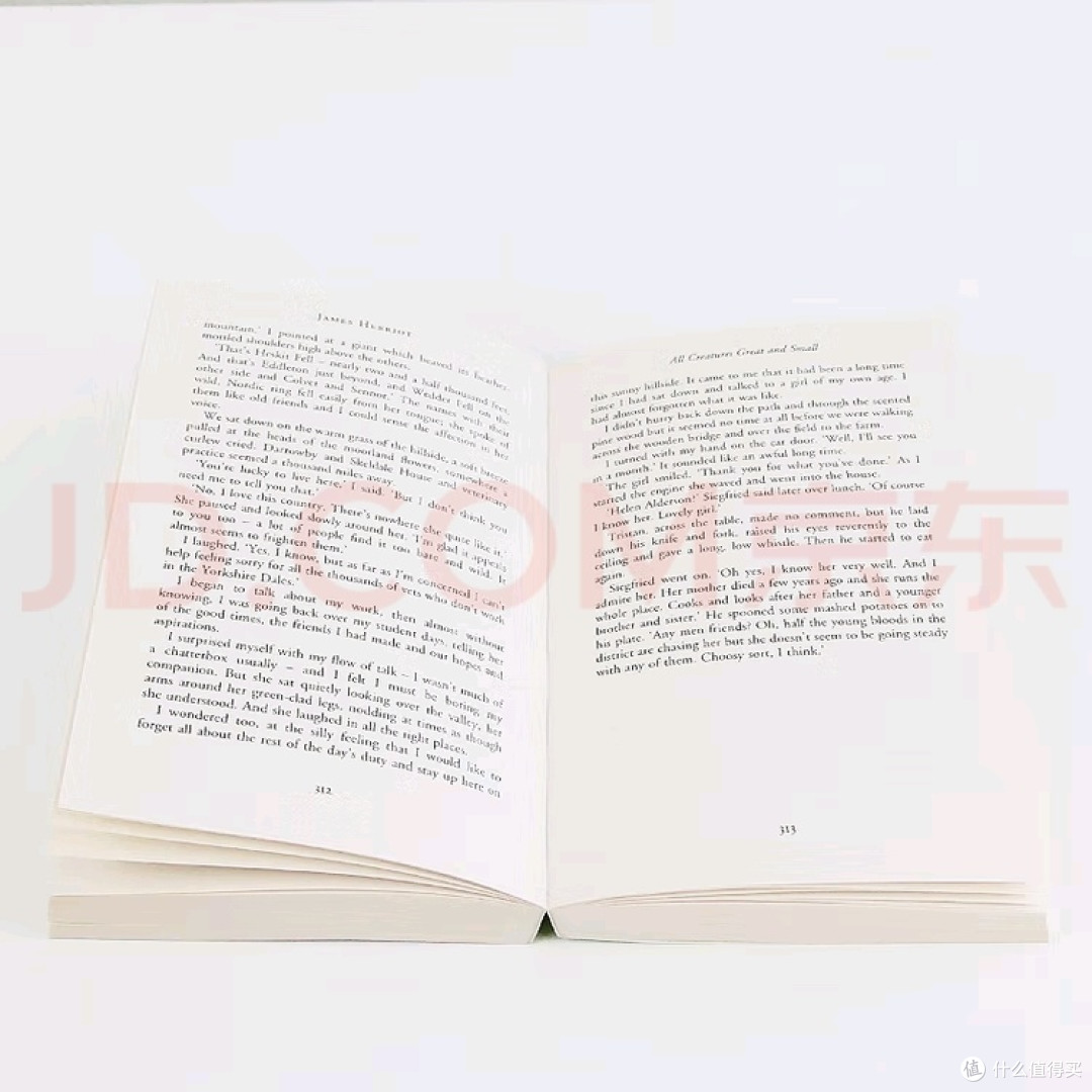 《万物既伟大又渺小》:温暖治愈的兽医日常