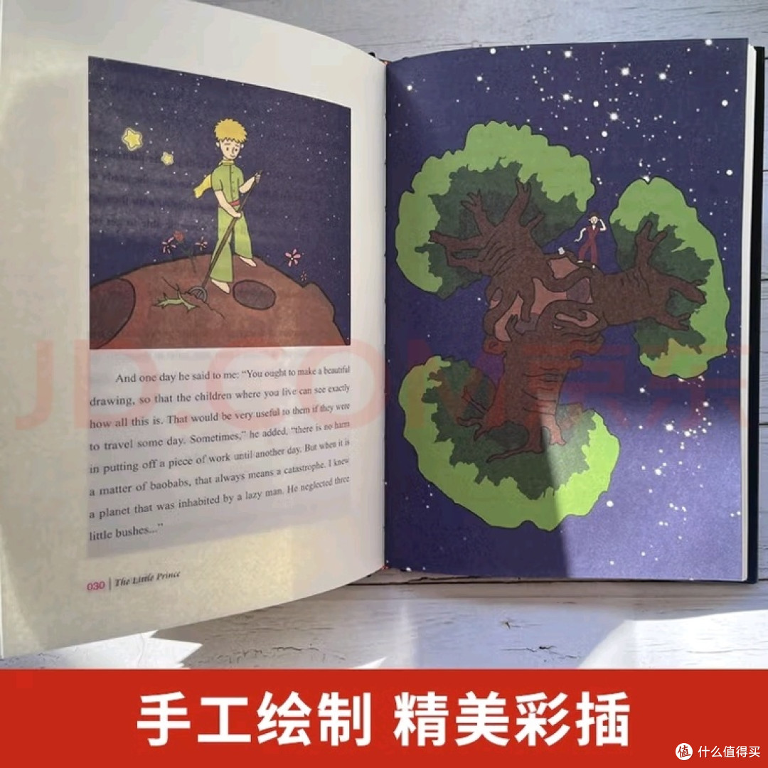 《小王子》:生命意义的哲理探索