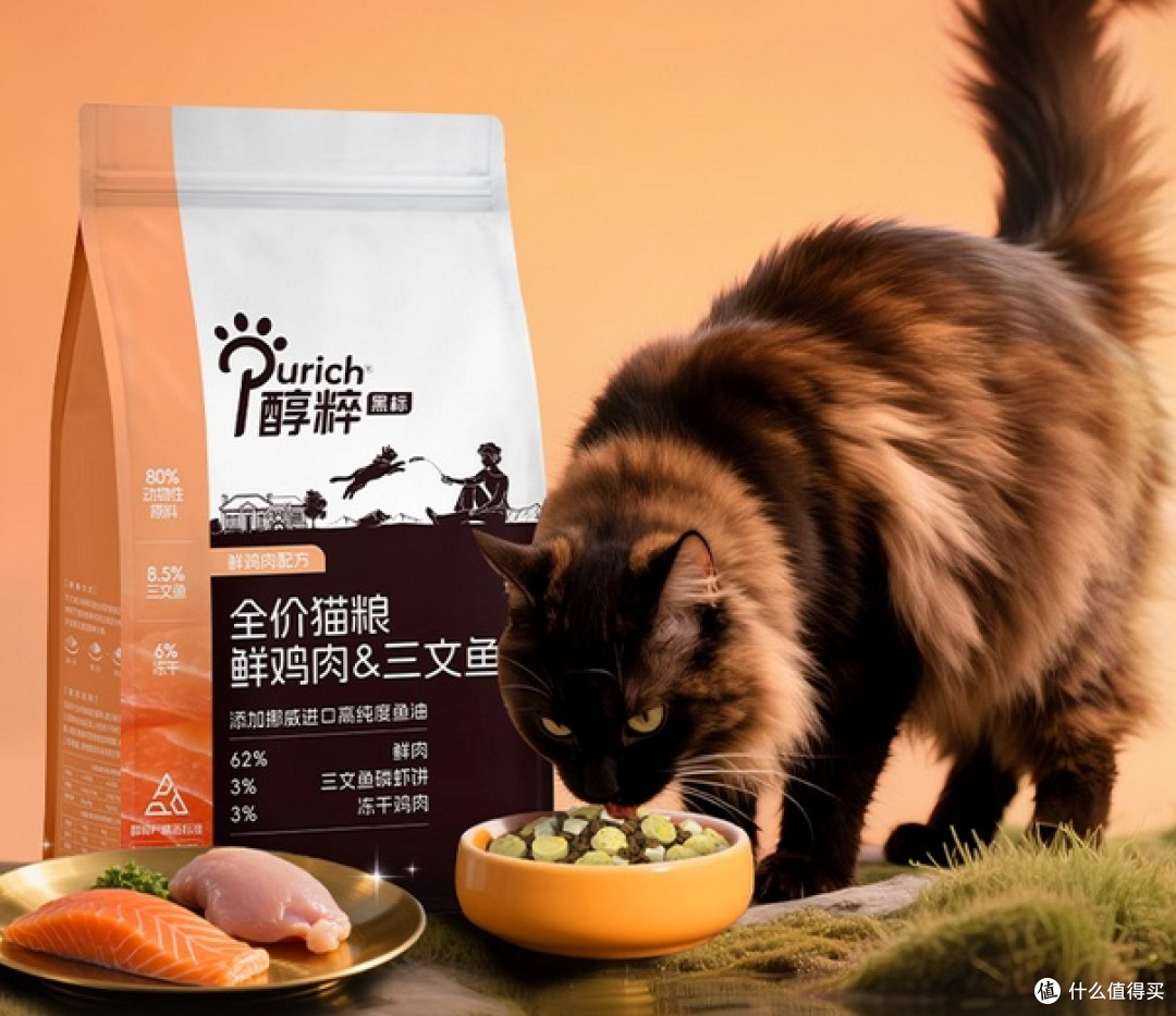 美短猫吃什么牌子的猫粮好？双十一囤货必看的猫粮品牌排行