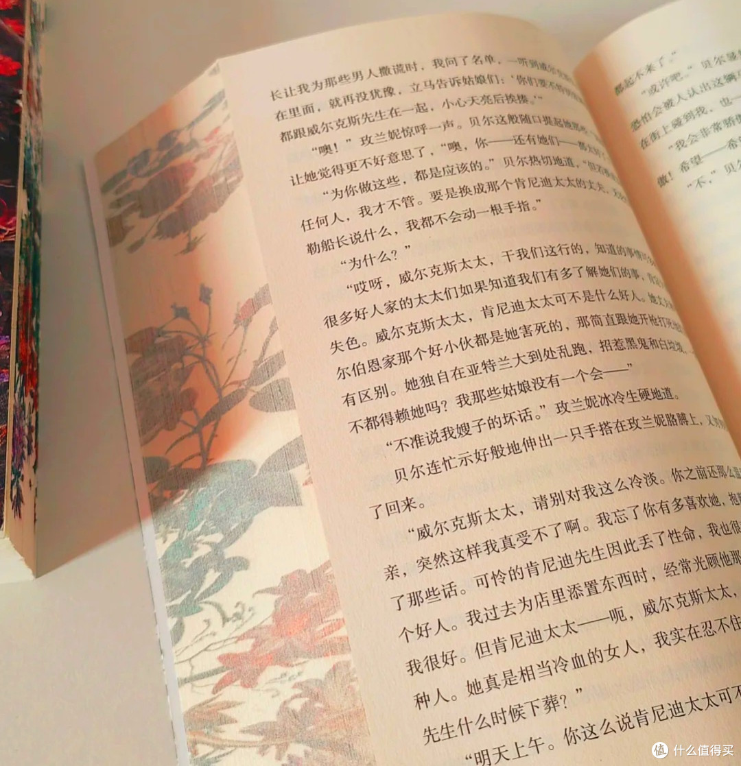 好书推荐：《精神的漫游者》心灵的归宿