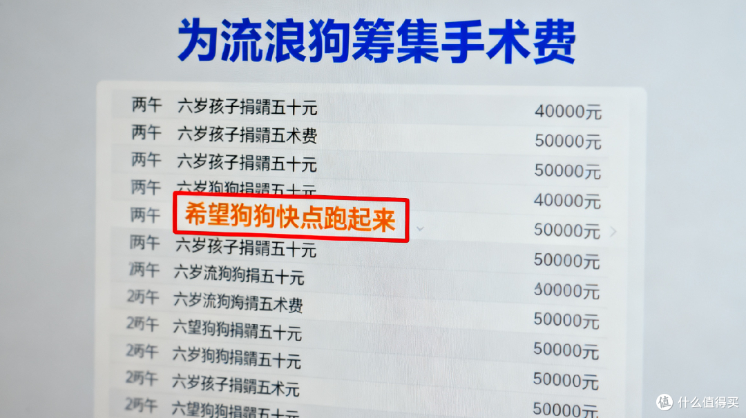 微光汇聚:一场跨越山海的爱心救助