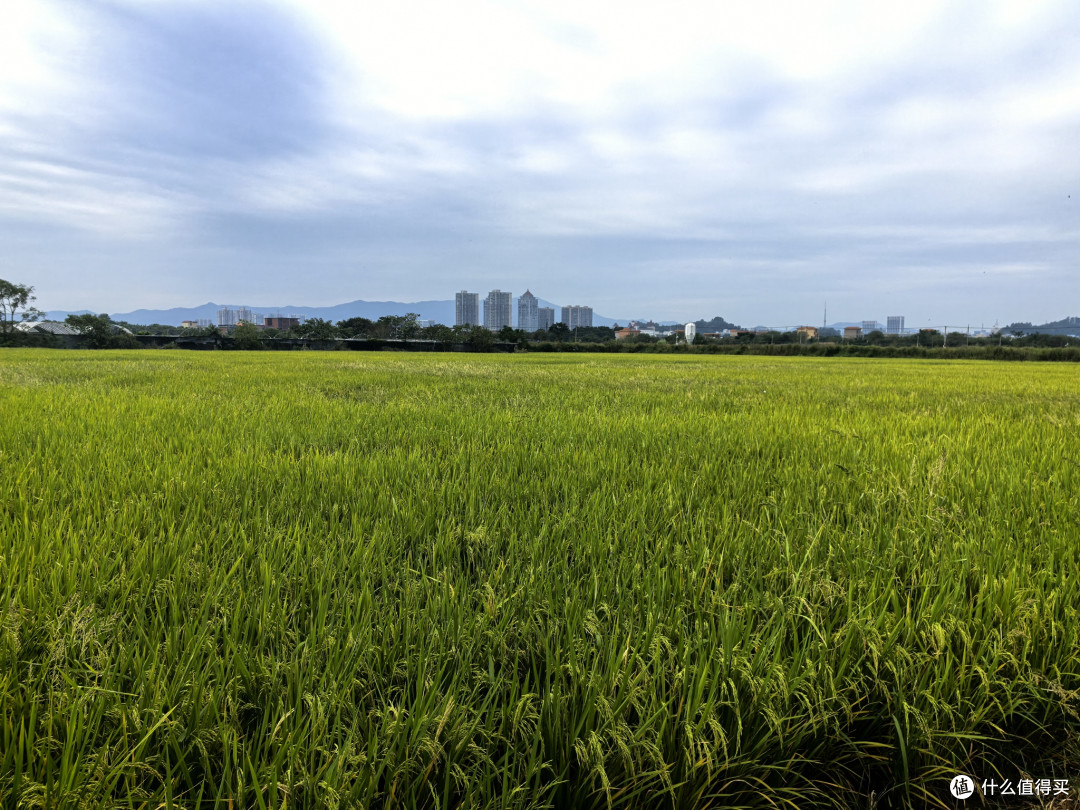 双十一东北小兴安岭草原自驾游攻略