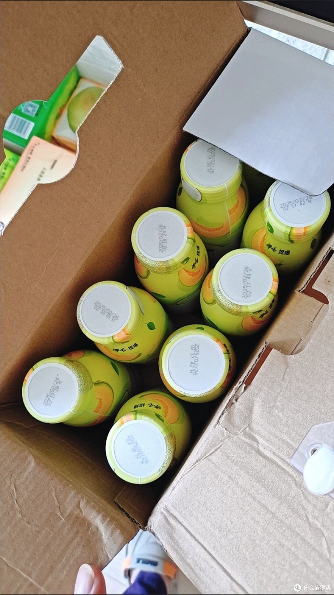 双11必囤美食清单哪吒蜜瓜椰汁礼盒装网红果味饮品的早餐饮品首选