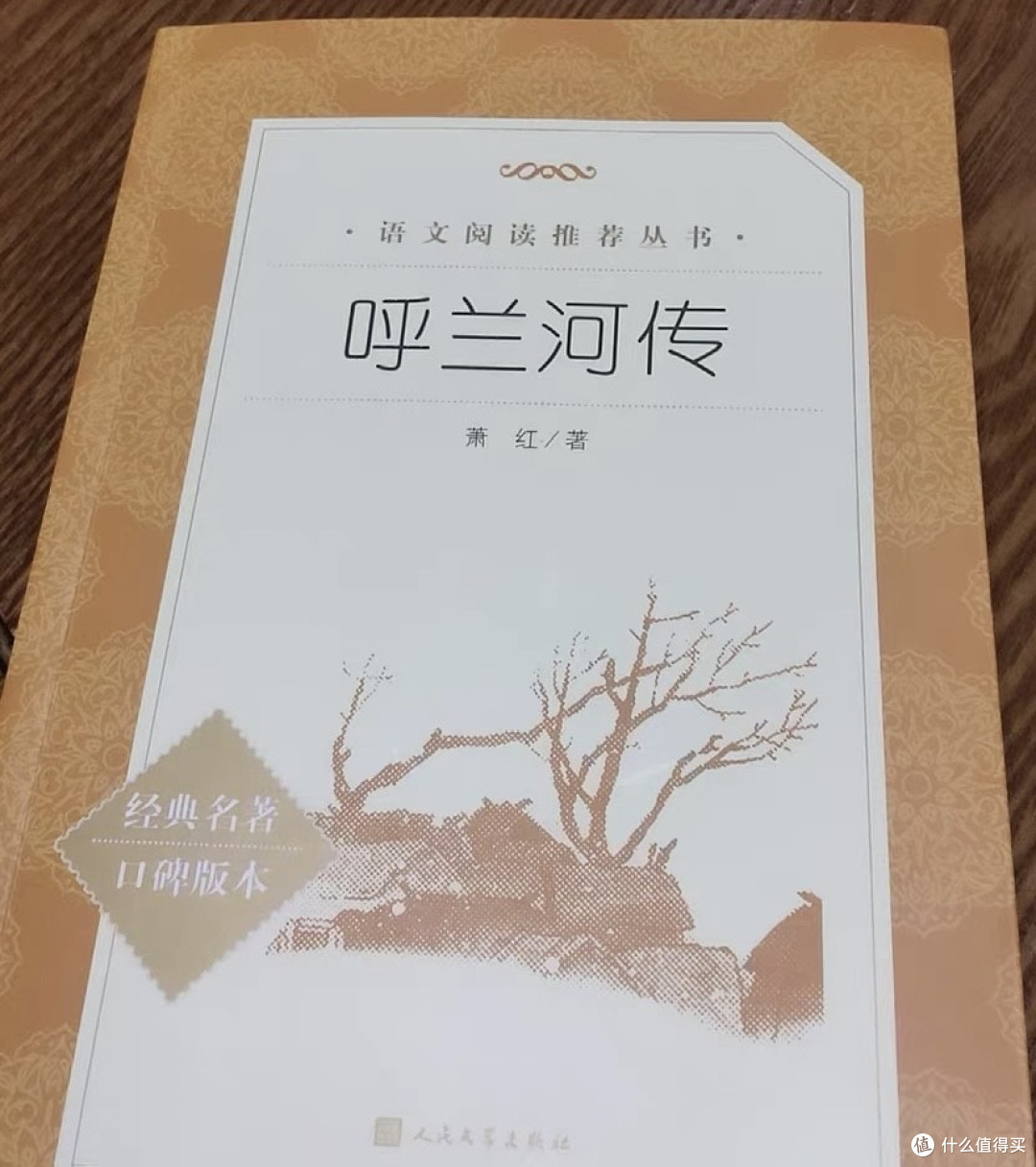 《呼兰河传》读后感:冻土上的生命悲歌