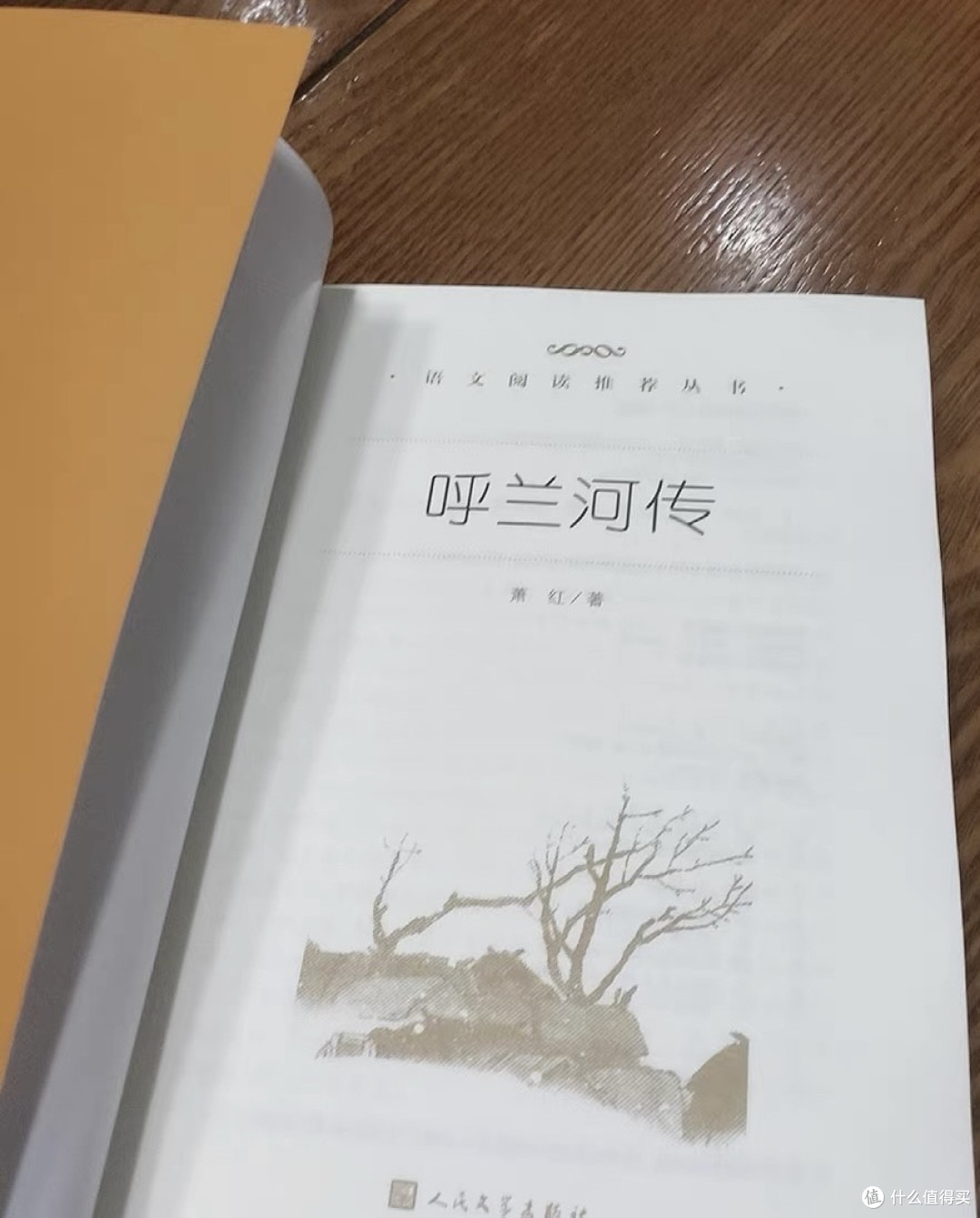 《呼兰河传》读后感:冻土上的生命悲歌