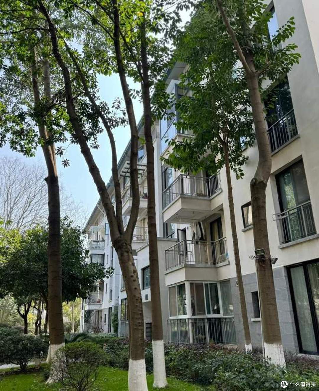 美联储又降息25个基点，这一次国内楼市，能被“救”回来吗？