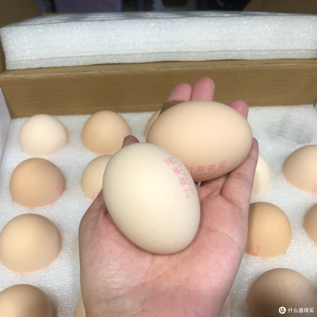 叶黄素加持的大号鸡蛋——1号会员店可生食鲜鸡蛋种草!