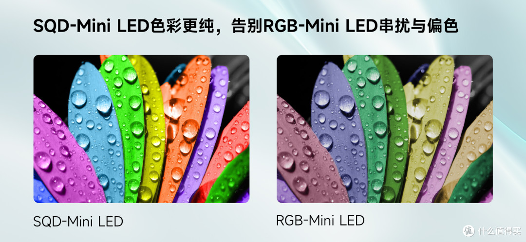 TCL SQD-Mini LED破十年画质困局,X11L荣获屠榜机皇