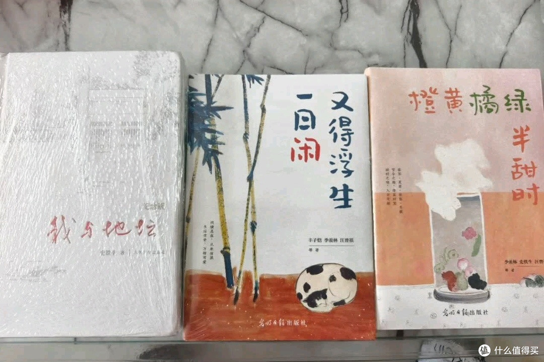 好书推荐种草:橙黄橘绿半甜时:季羡林、史铁生、汪曾祺等
