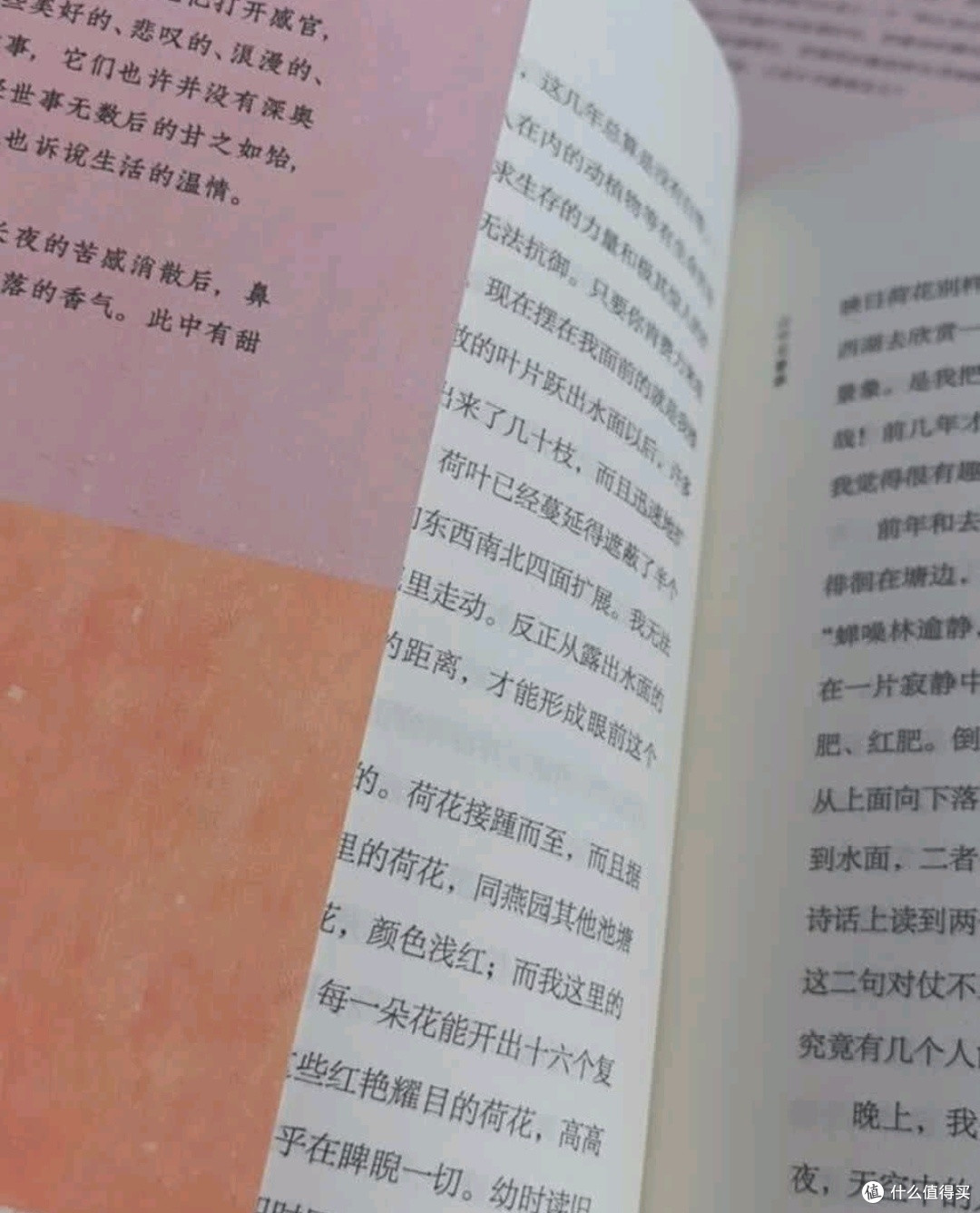 好书推荐种草:橙黄橘绿半甜时:季羡林、史铁生、汪曾祺等