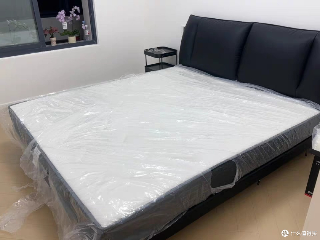 梦百合安安垫:提升睡眠质量的优选