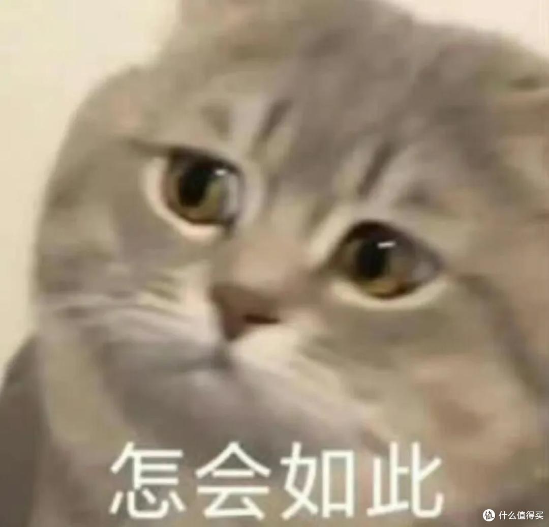 猫咪一定要绝育吗?