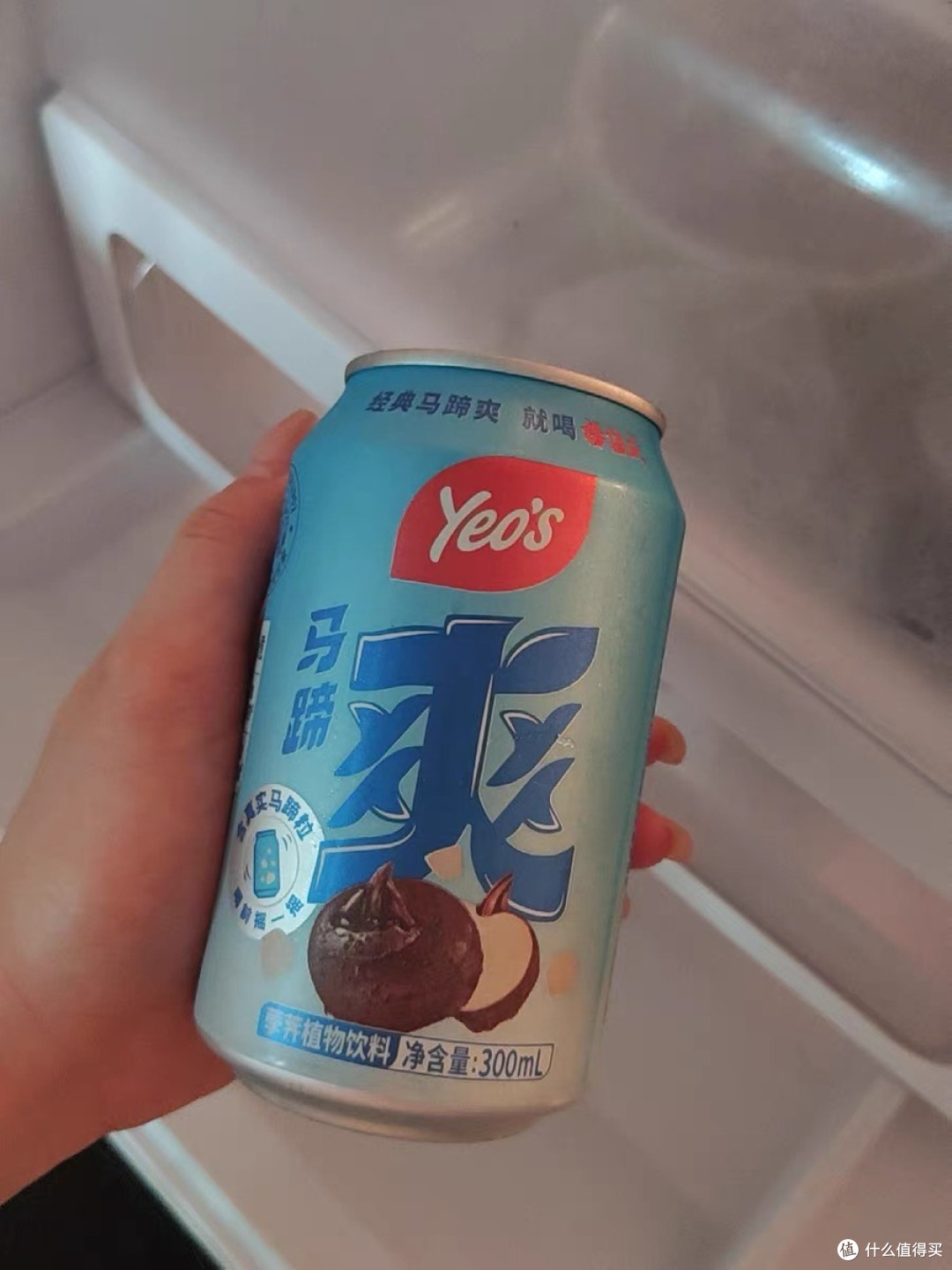 双11囤杨协成马蹄爽,健康解馋