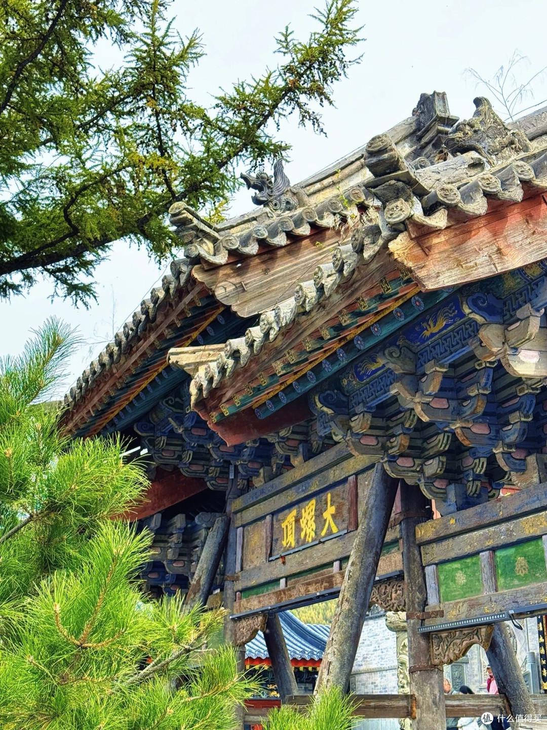 ▲大螺顶 秋意浓