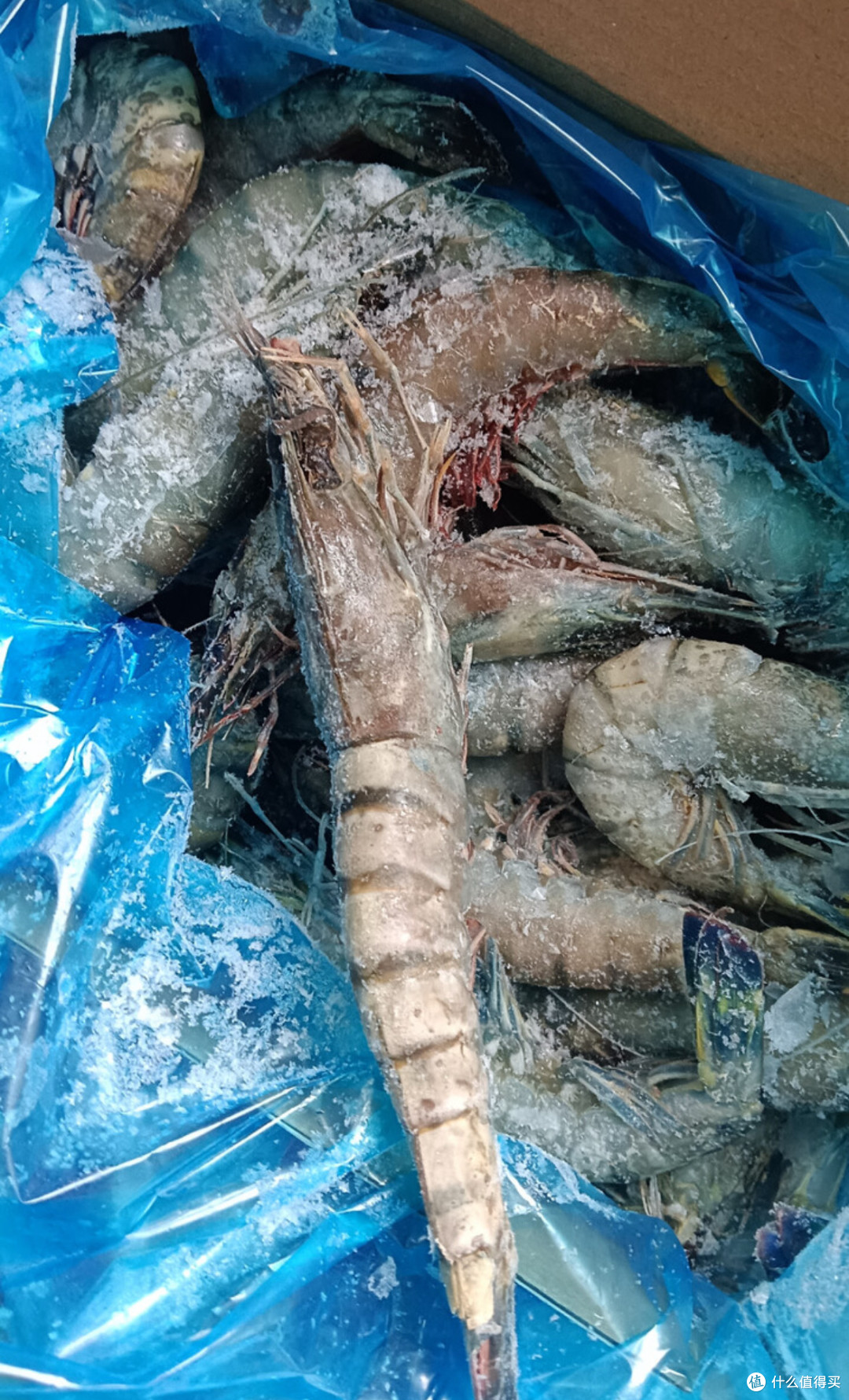 美加佳大号黑虎虾2斤装