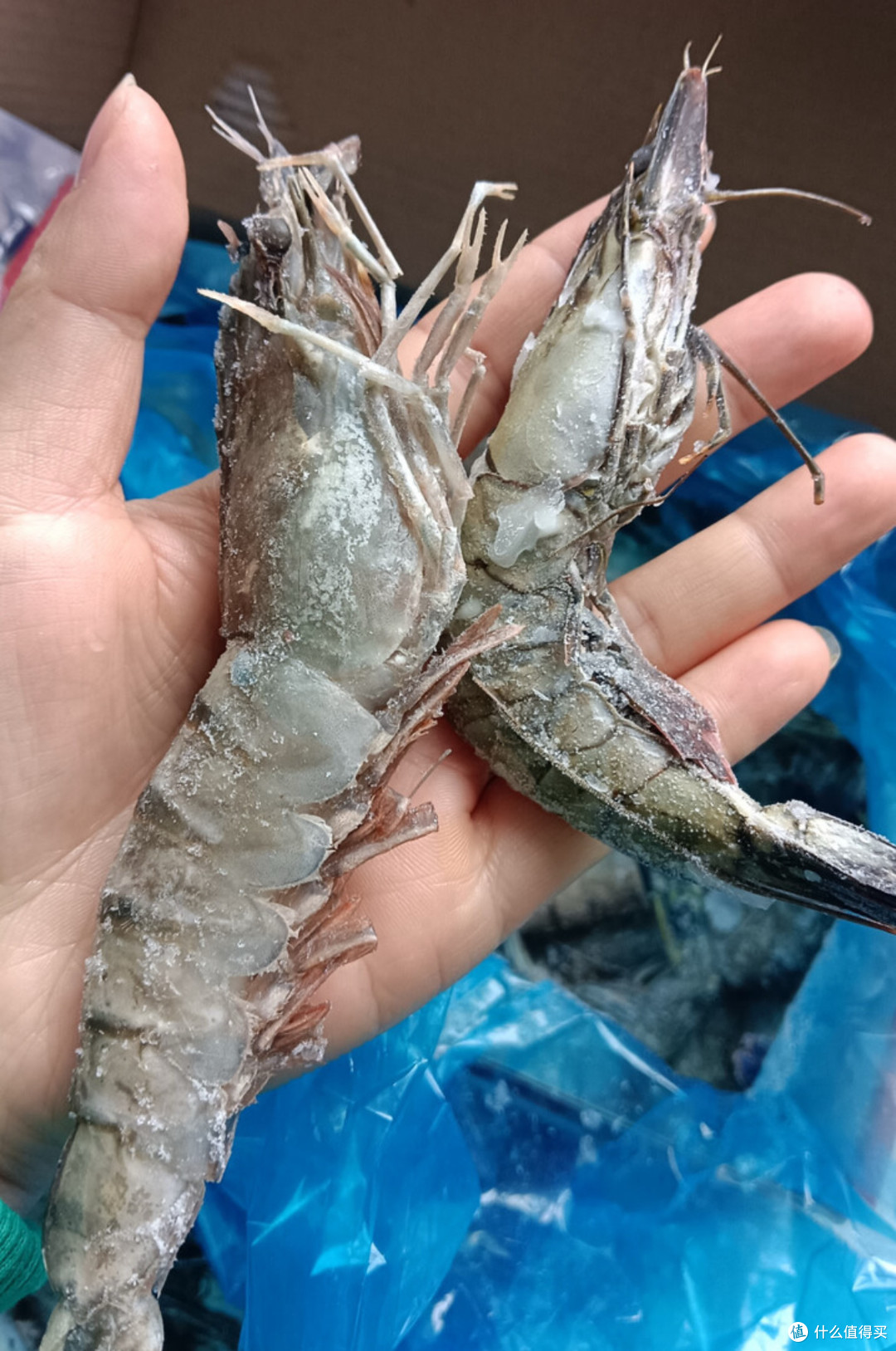 美加佳大号黑虎虾2斤装