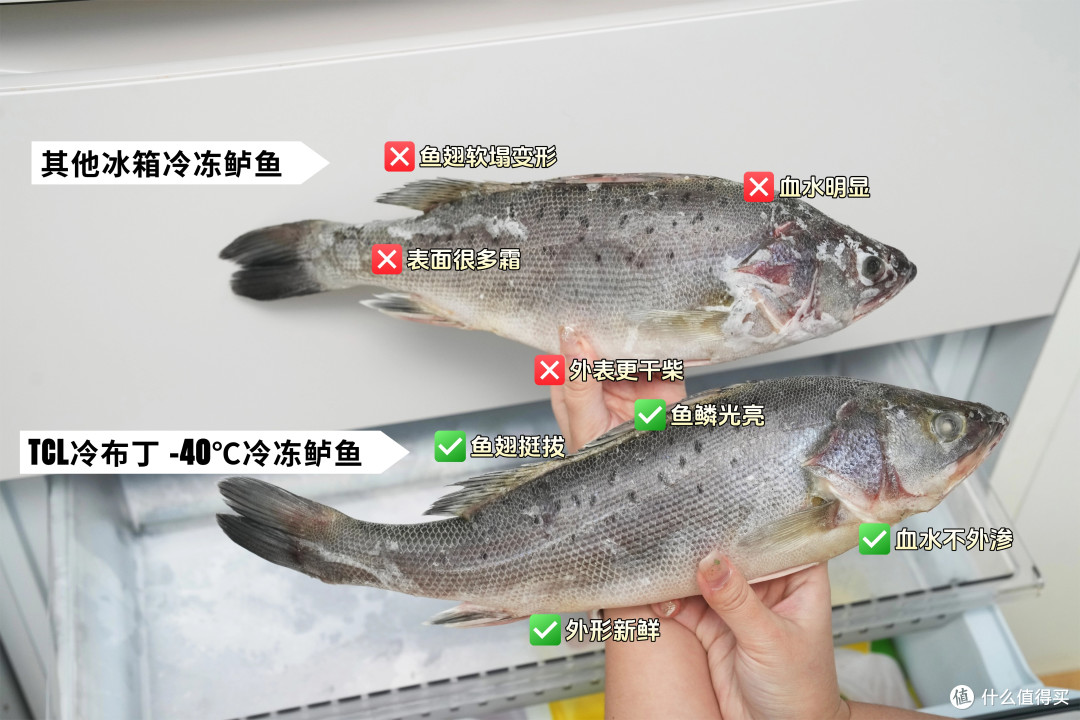 -40℃的慢融好冰!TCL冷布丁409制冰冰箱,为我解锁花式用冰体验!