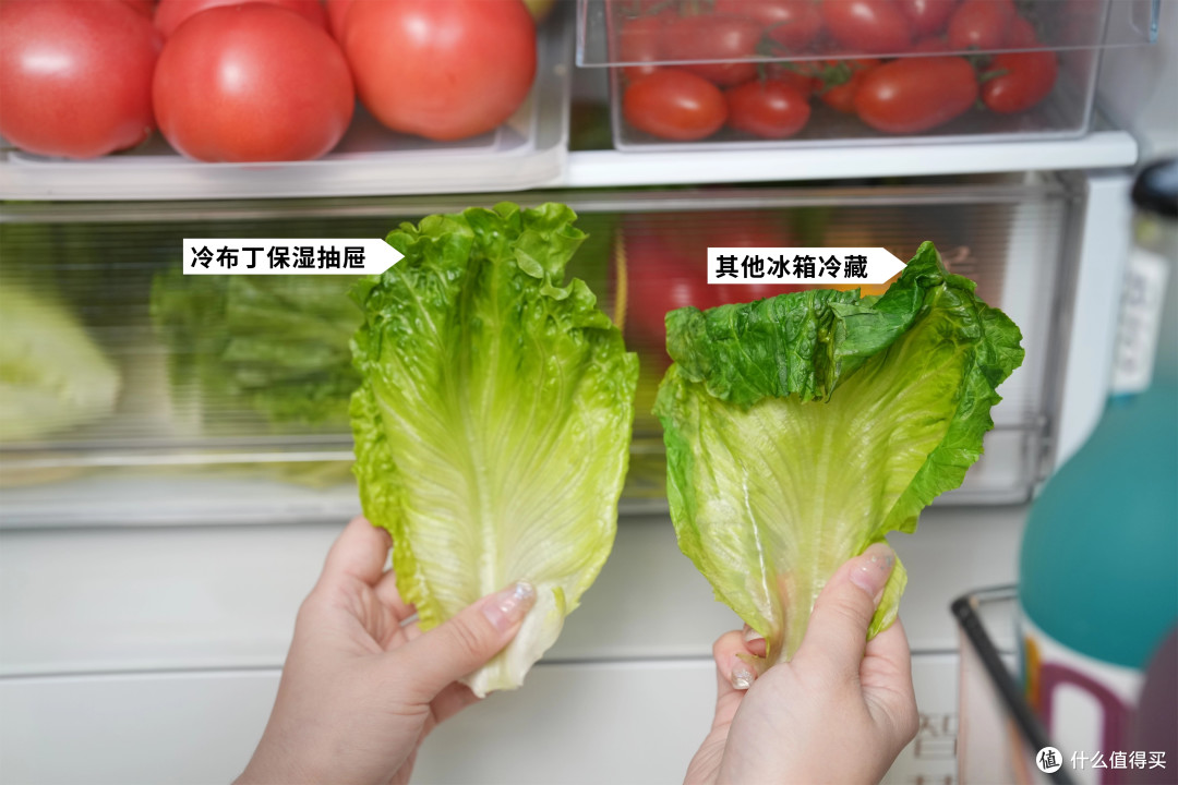 -40℃的慢融好冰!TCL冷布丁409制冰冰箱,为我解锁花式用冰体验!