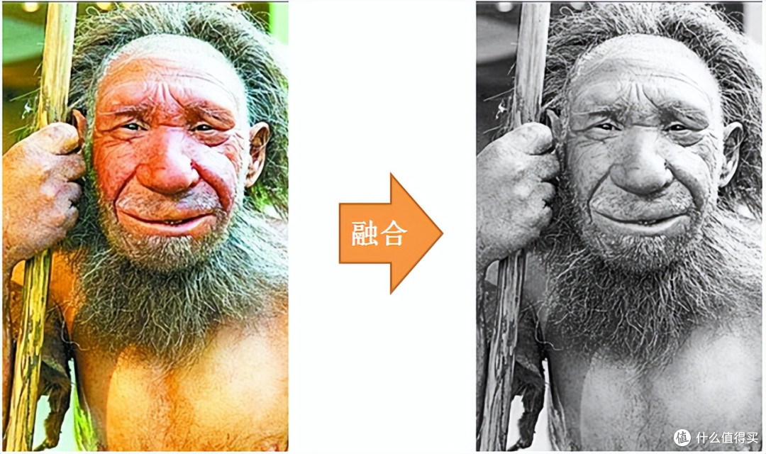 若远古人类不“退场”,今日世界格局会改写吗?