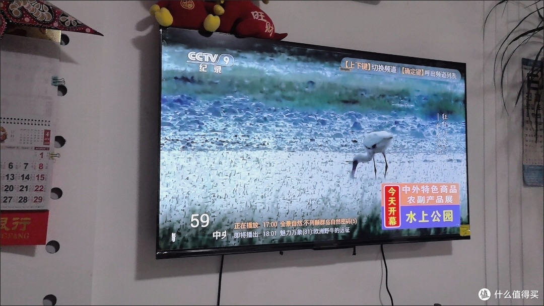 卧室观影新升级:海尔55Q60C电视,全家都爱的性价比之选