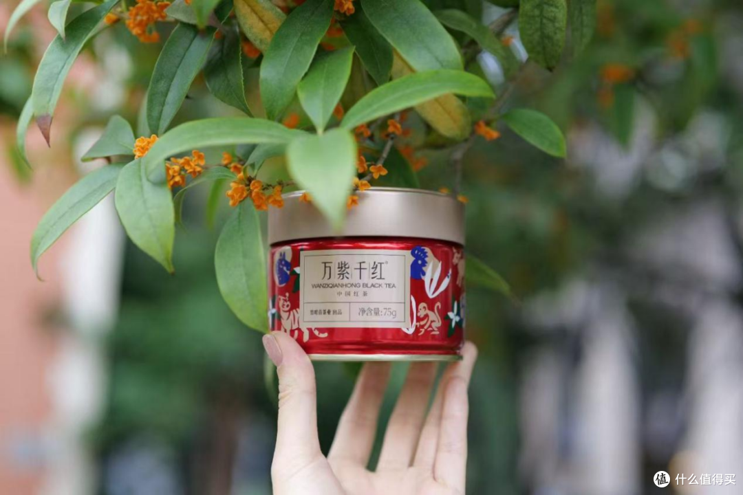 万紫千红小红罐:立冬时节,感受红茶之暖