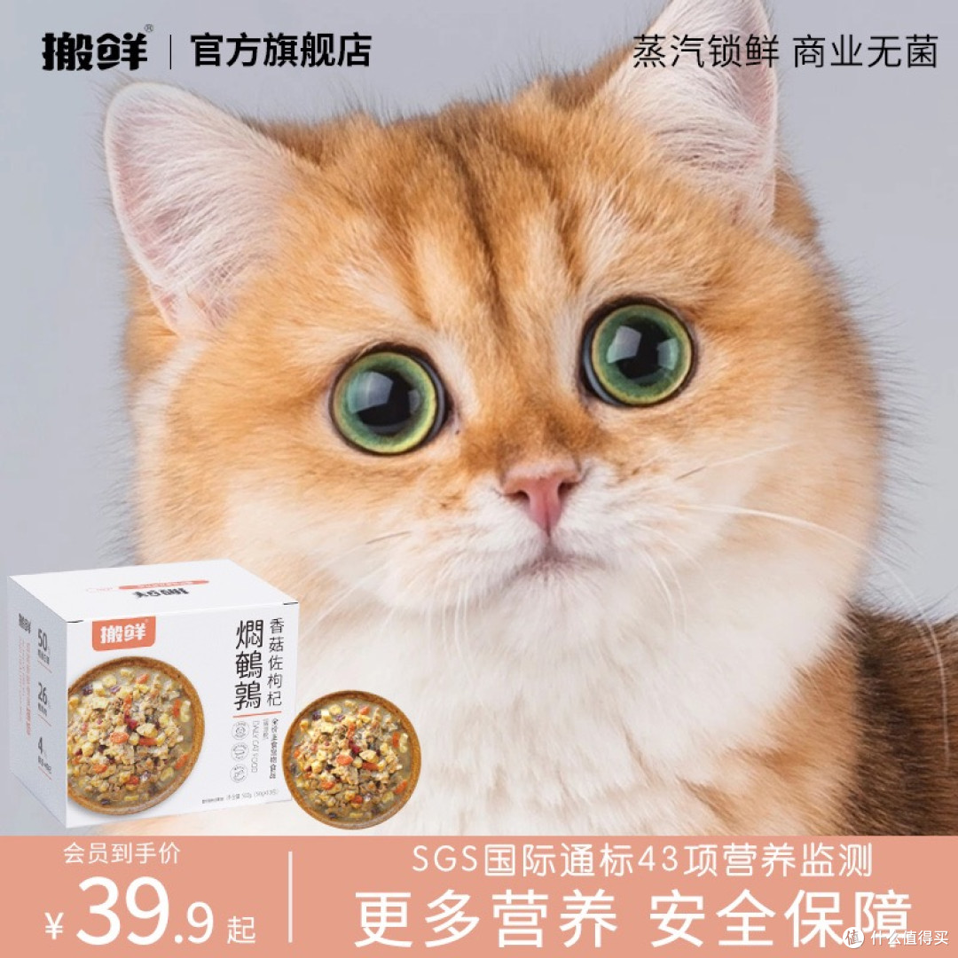 猫咪营养升级!搬鲜猫饭湿粮:专为挑食怪设计的鲜肉盛宴