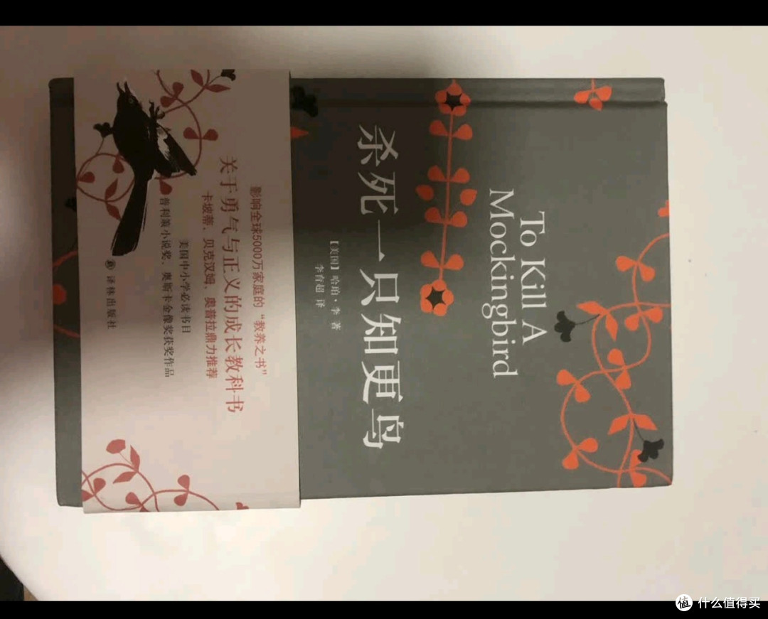 《杀死一只知更鸟》:成长与正义