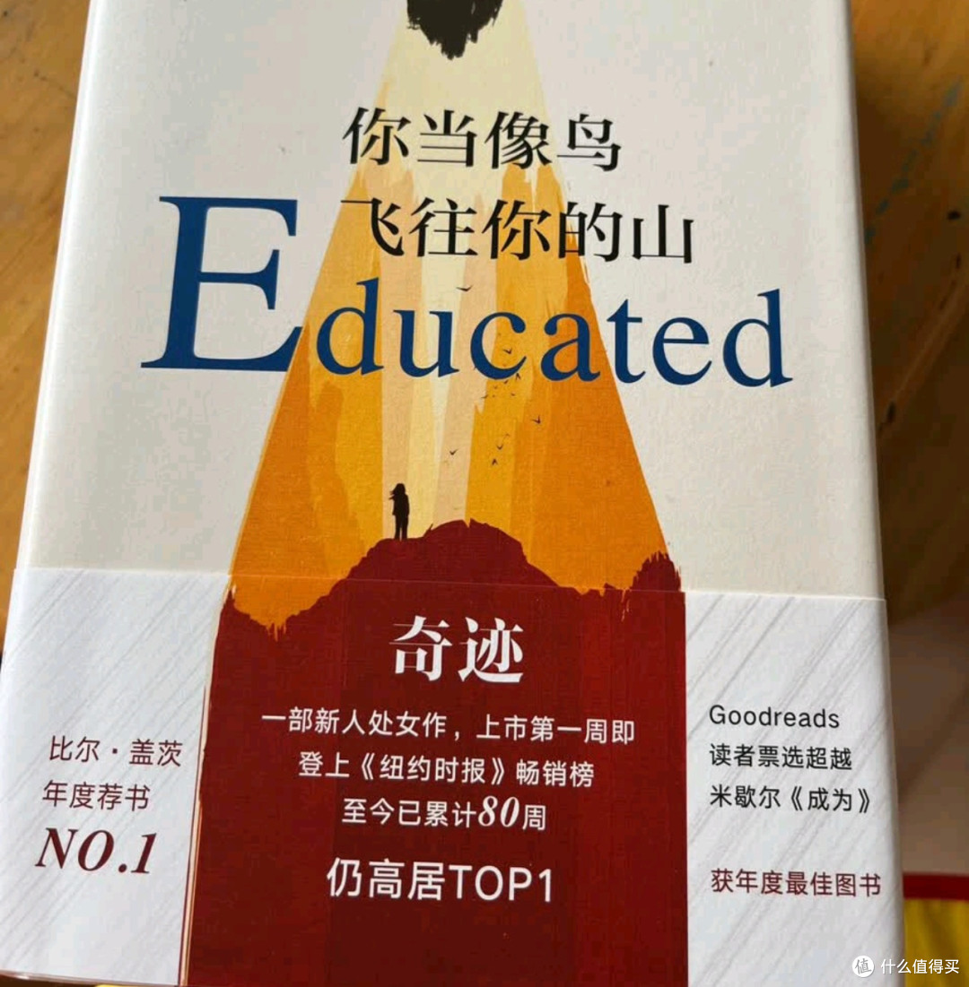 《你当像鸟飞往你的山》内容扎实