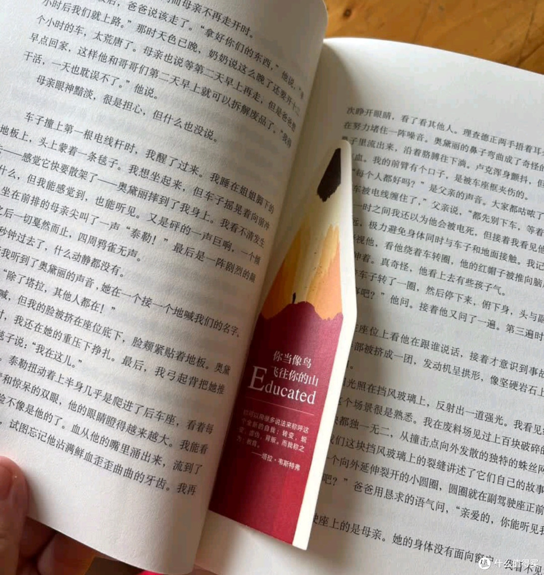 《你当像鸟飞往你的山》内容扎实