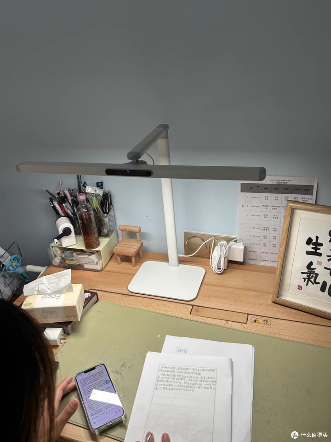 双 11 入孩视宝护眼灯,姐弟俩写作业再也不抢灯