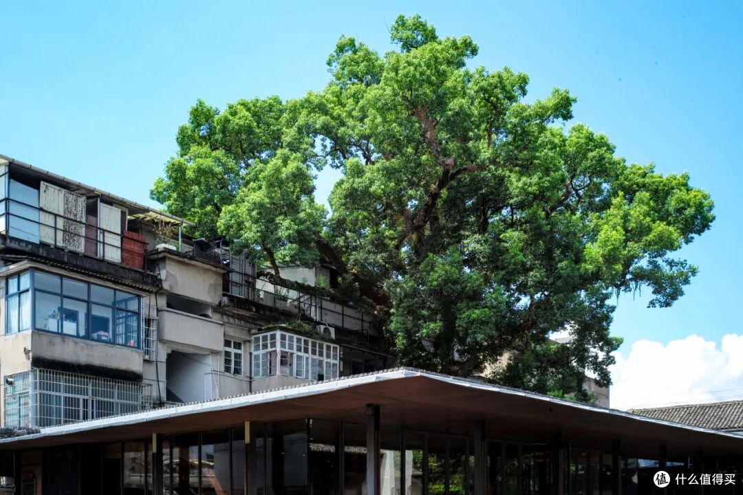 懂吃的老饕才知道，这个遍地古建的山城，美食也灵得不行！
