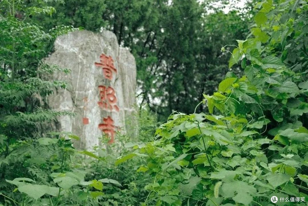 高铁直达!我猜每一个来这的人都需要这份攻略...
