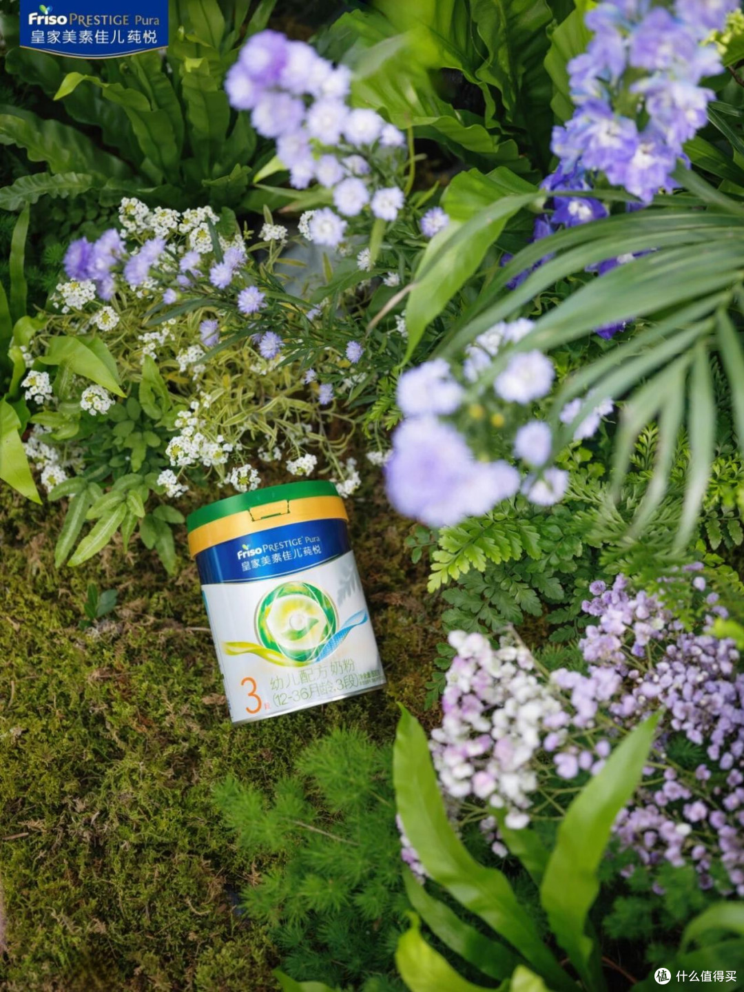 问鼎有机奶粉十大排行榜10,探秘这款奶粉的硬核实力