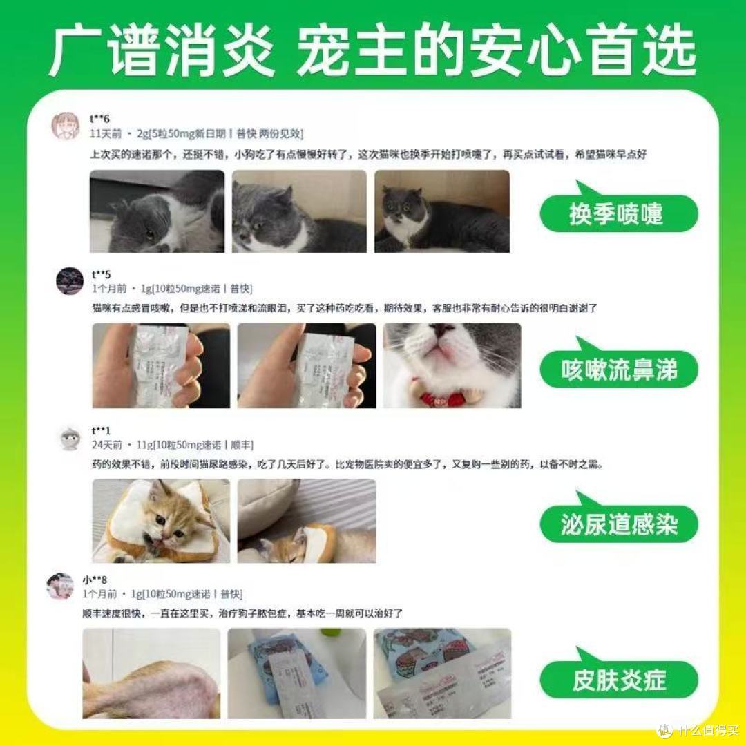 养宠必看！猫咪狗狗感冒流鼻涕？这些消炎用药误区别踩坑❗