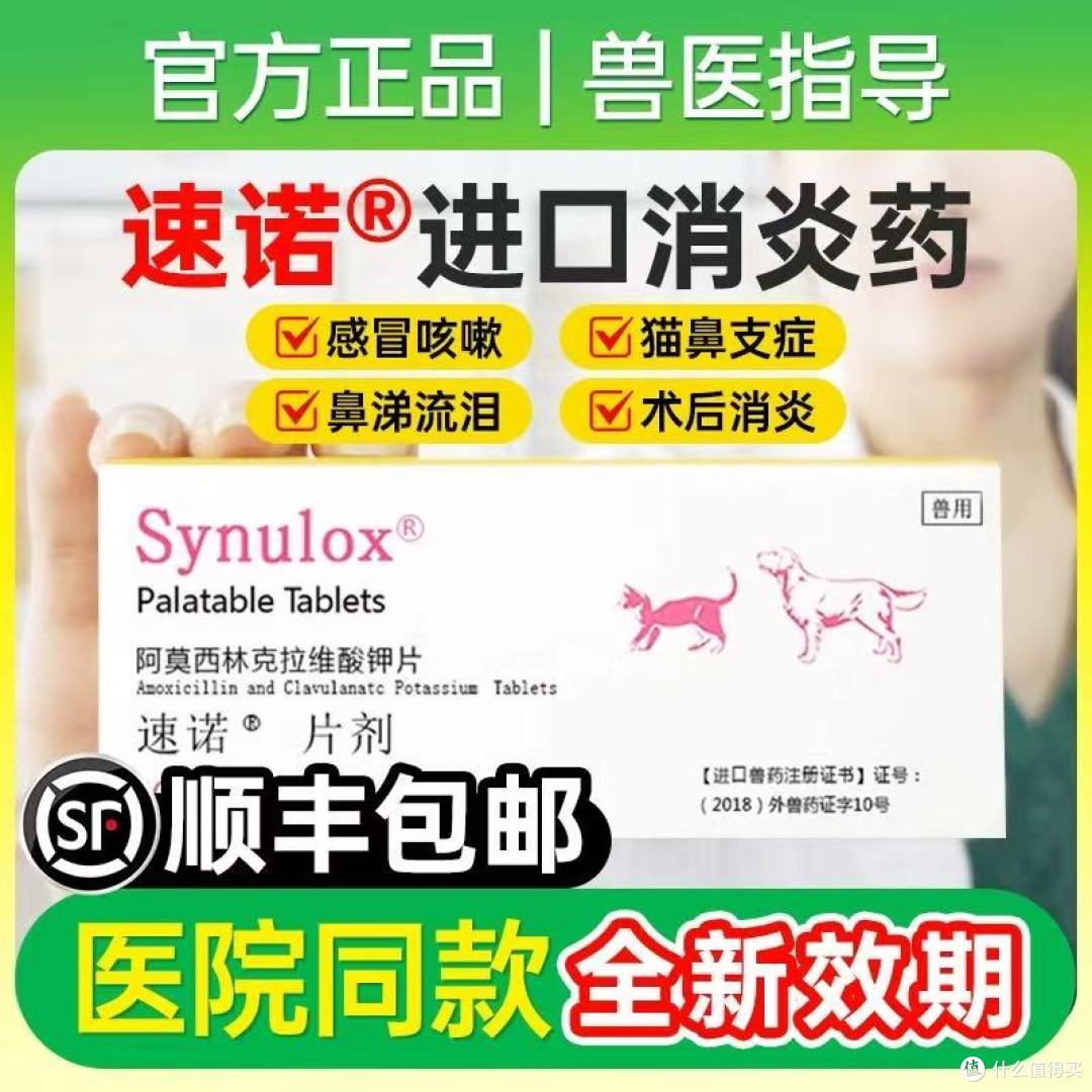 养宠必看！猫咪狗狗感冒流鼻涕？这些消炎用药误区别踩坑❗
