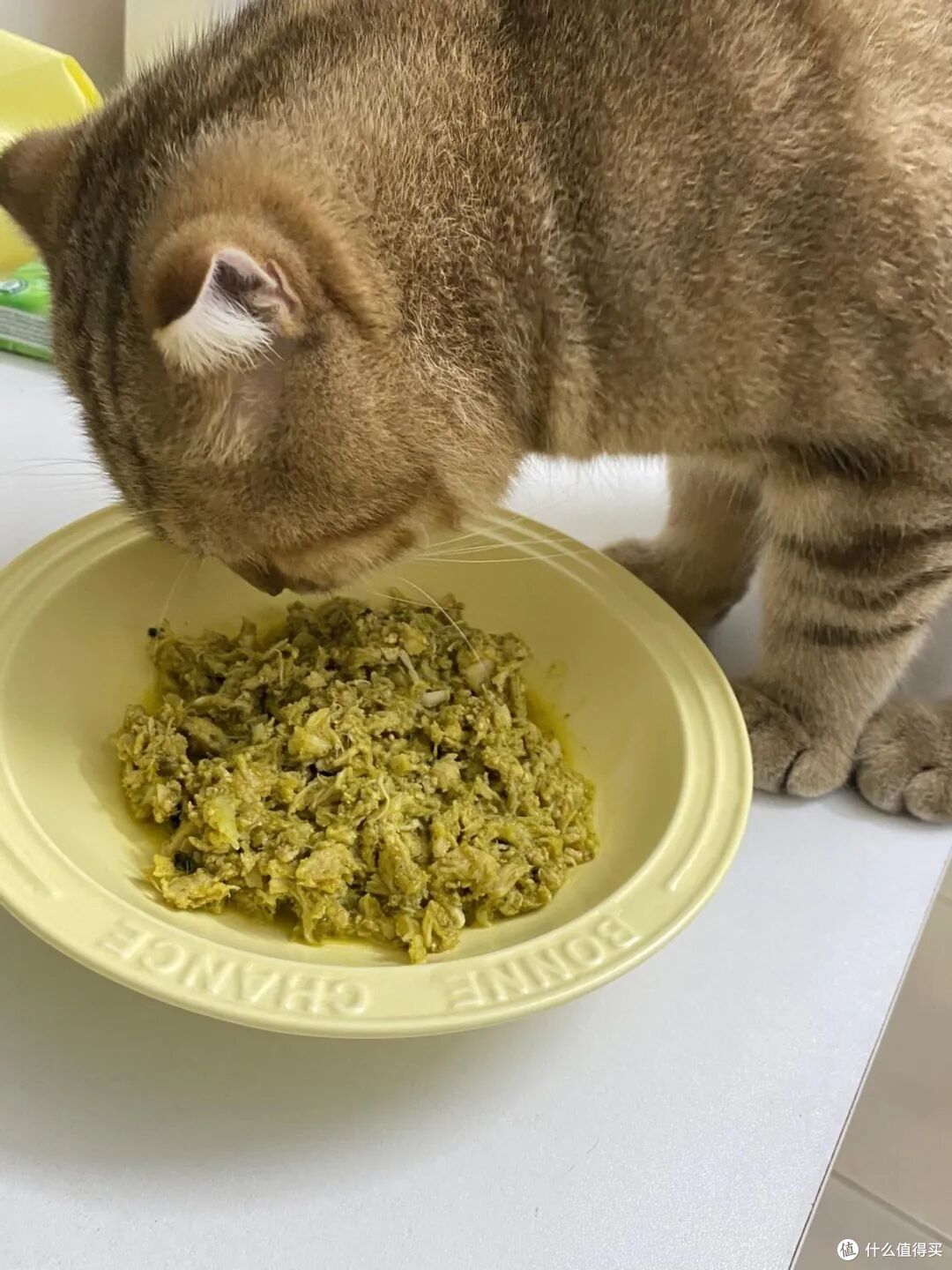 自制猫饭小猫不愿吃猫粮怎么办?来看这份自制猫饭食谱小红书合集