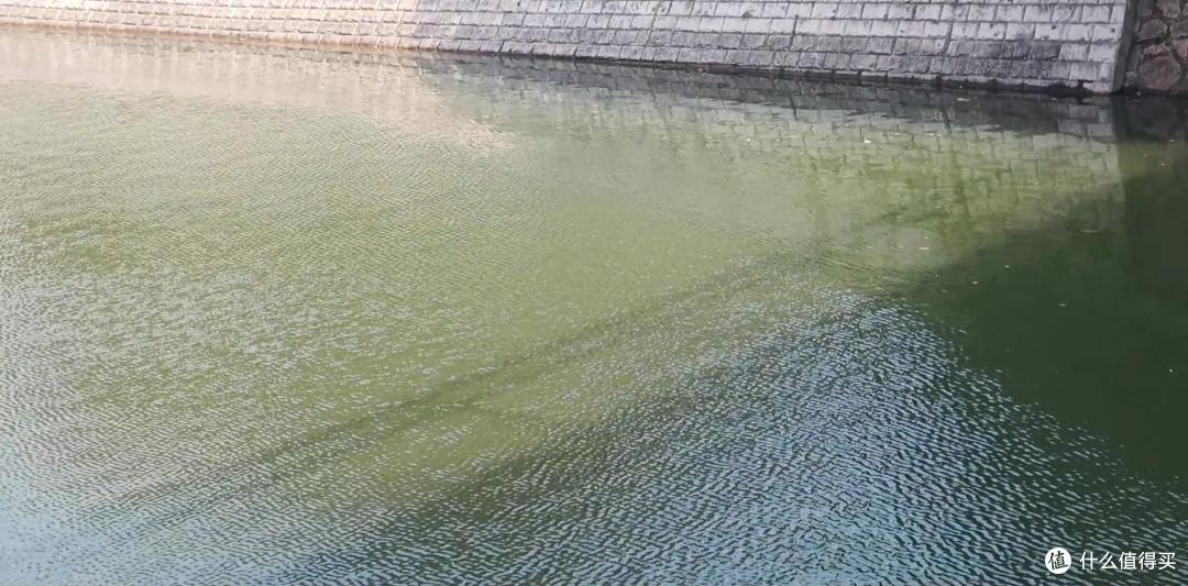 2025年加湿器选购指南:四大热销品牌对比评测,一篇看懂参数陷阱