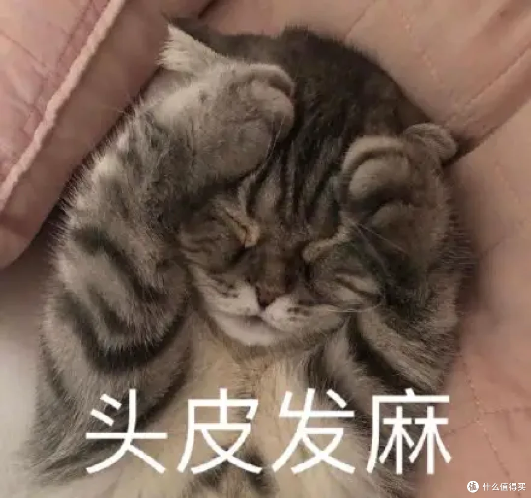 以为是精致雅居,谁能想7500元/月的租房还要与“书虱”同眠?!